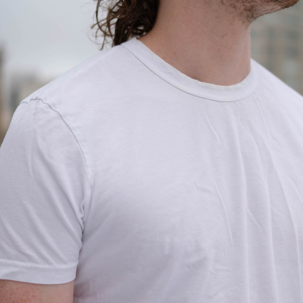 REVIEW: The 'Perfect' White T-Shirt, 4 Options from 4 Brands - Seasons +  Salt